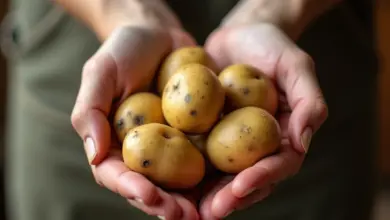 zelené brambory jak je rozpoznat a co s nimi - Jak rozpoznat zelené brambory a co s nimi dělat