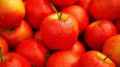 může králík jablko jíst – Je jablko vhodné pro králíky? Odpovědi a rady
