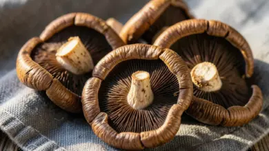Shiitake recept na přípravu - ilustrační foto