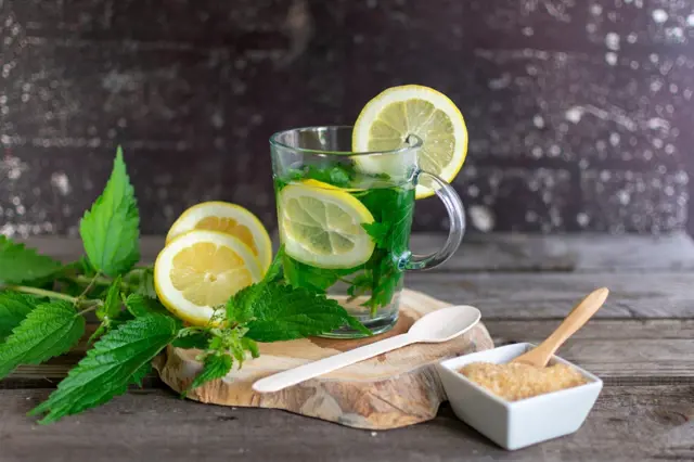 Čerstvé kopřivy, citrony a voda pro studený sirup.