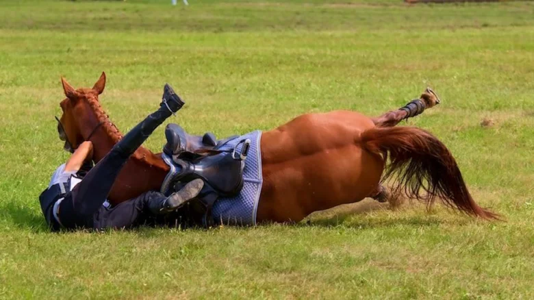 Pád z koně – jezdec leží na trávě vedle koně