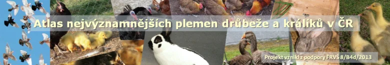 Atlas plemen drůbeže a králíků v České republice
