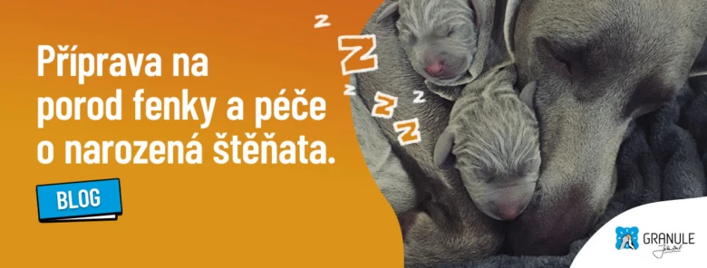Šedá fenka s dvěma spícími štěňaty v náručí.