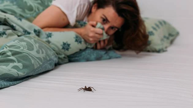 Žena v posteli se bát pavouka na matraci