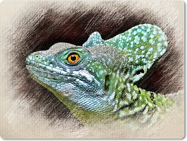 Ilustrace hlavy zeleného baziliška s výrazným okem.
