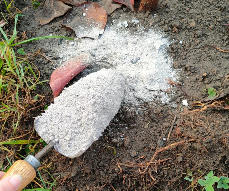 Dřevěný popel na zahradní půdě s lopatkou
