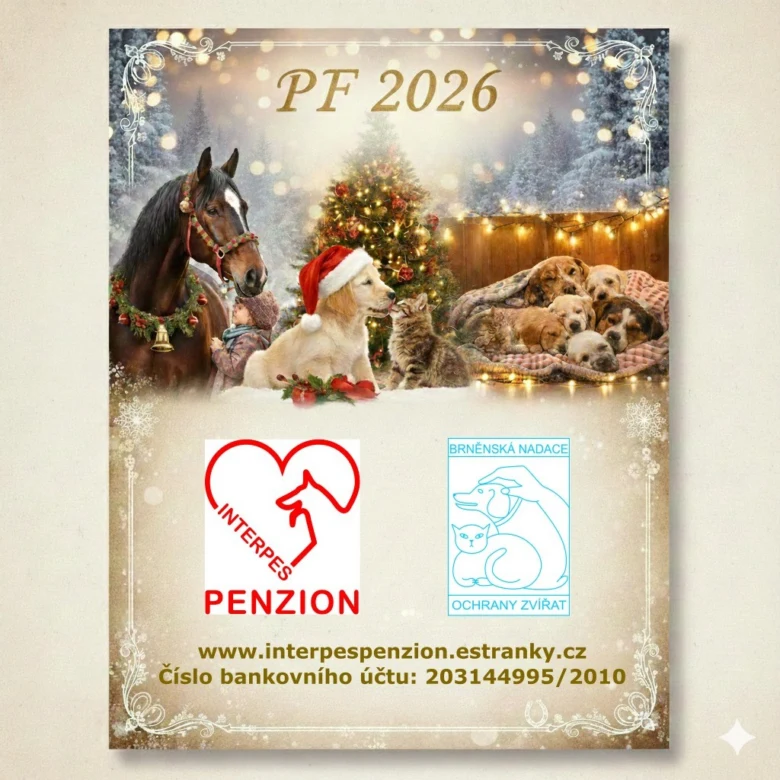 Vánoční plakát útulku v Brnu s žádostí o dar.