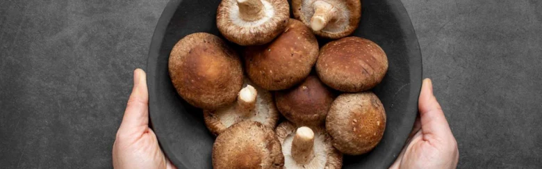 Čerstvé houby shiitake v černém talíři