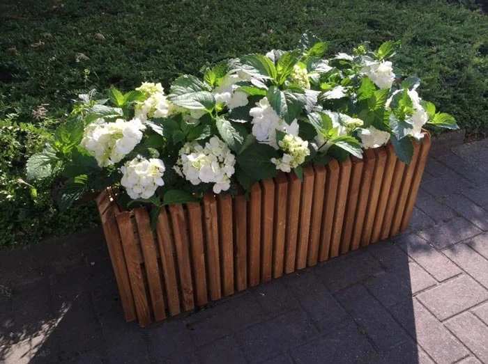White hydrangea planter box
