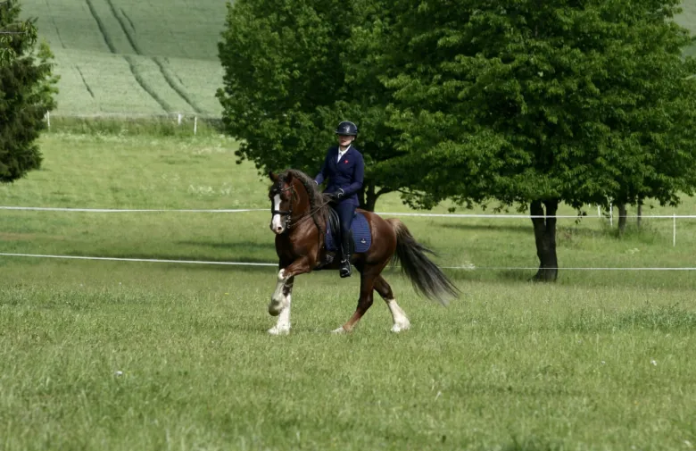 Riding a well-groomed horse in a natural outdoor setting.