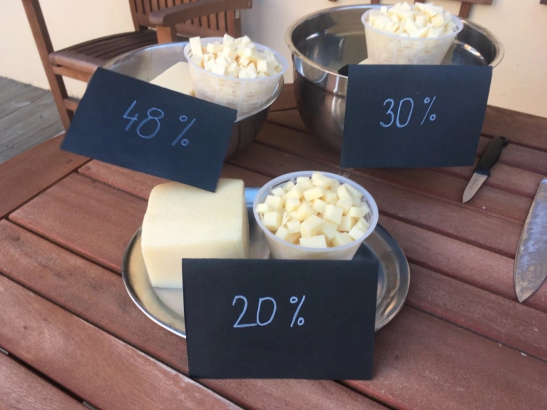 Různé druhy sýra s obsahem tuku 20 %, 30 % a 48 %