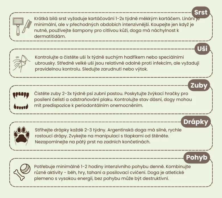 Infografika o péči a potřebách americké dogy.