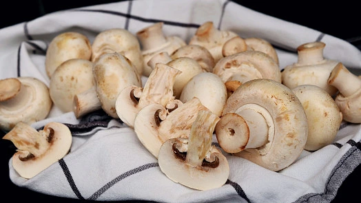 Čerstvé žampiony na kuchtě utěrce pro recept.