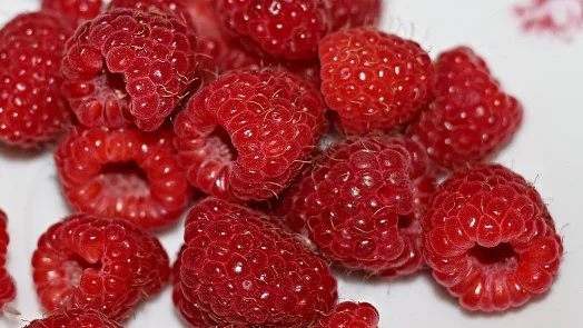 Čerstvé červené maliny na bílém podkladu.