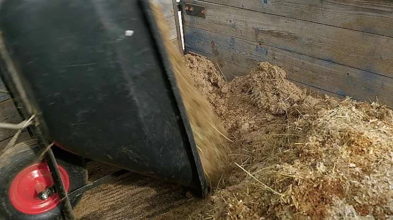 Koňský hnůj se nalévá do stájového boxu s slámou.