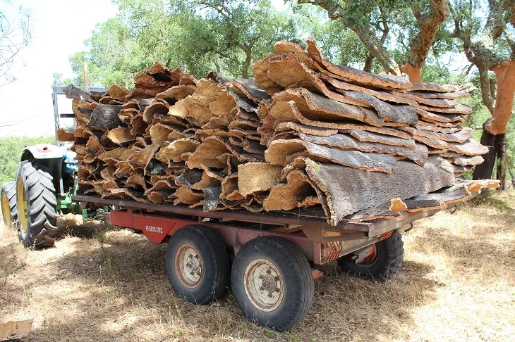 Traktor táhne přívos plný surových korkových kousků.