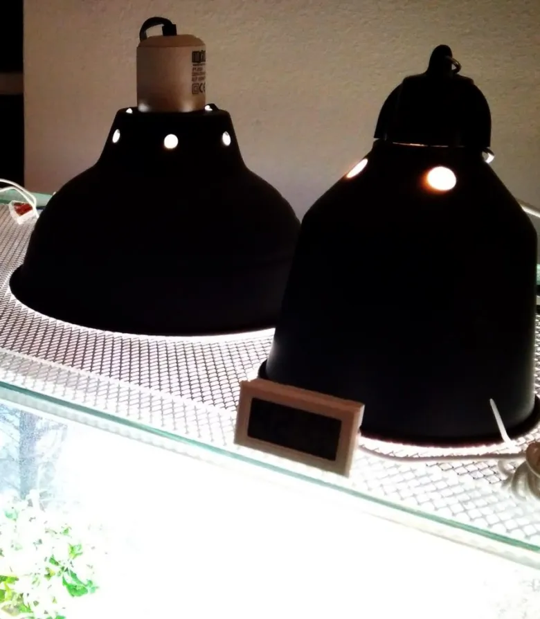 Tepelné lampy pro terári s chameleonem v zajetí.