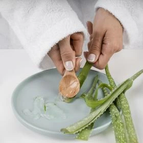 Lidé používají čerstvý aloe vera na stařecké skvrny.