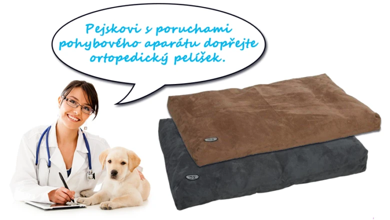 Veterán doporučuje ortopedický pelíšek pro psy s poruchami pohybového aparátu.