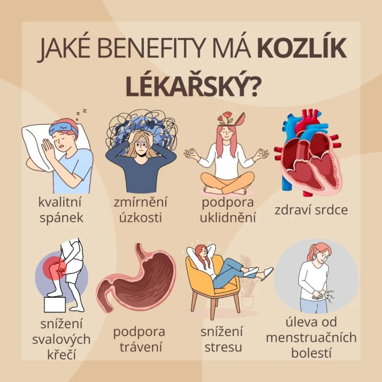 Infografika o zdravotních přínosech léčivého čertího ovoce