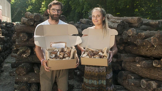 People holding shiitake boxes