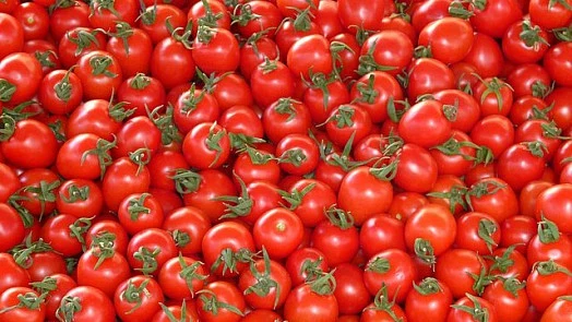 Čerstvá rajčata s lodyhami na recept do omáčky